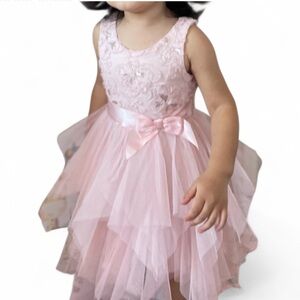 Zunie Pink Floral Lace Dress